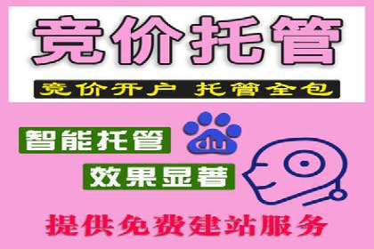 竞价广告的投放策略与网络推广的实践案例